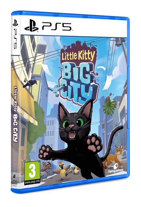 LITTLE KITTY PS5