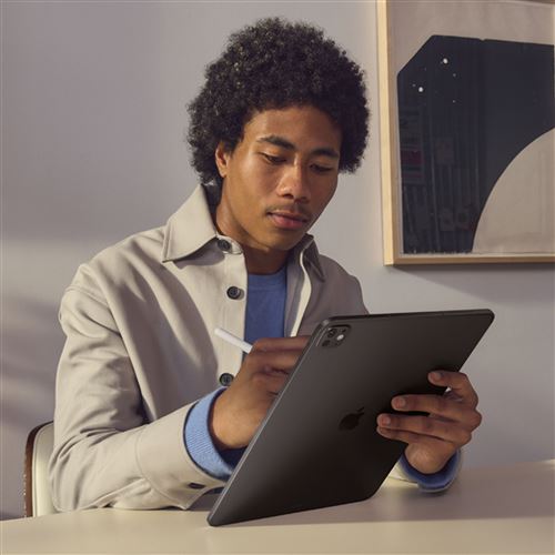 APPLE NEW IPPRO13 256 NS