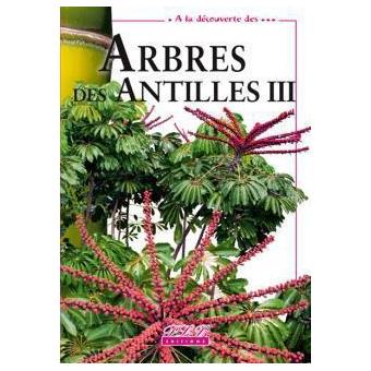 ARBRES DES ANTILLES 03