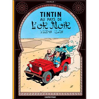 TINTIN PETIT FORMAT 15 TINTIN AU