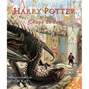 HARRY POTTER 04  HARRY POTTER ET