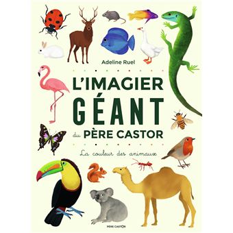 L'IMAGIER GEANT DU PERE CASTOR -