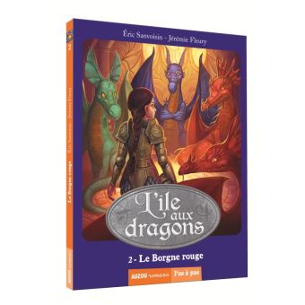 L'ILE AUX DRAGONS TOME 2 LE BORGNE