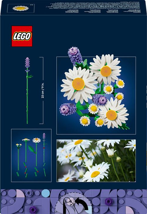 BOTANICA MARGUERITES 11508