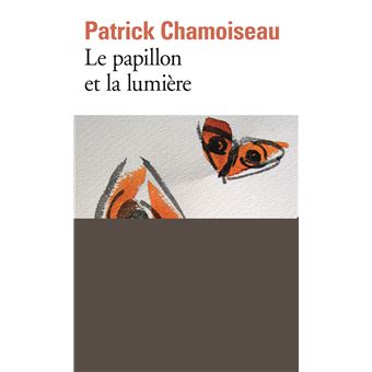 LE PAPILLON ET LA LUMIERE