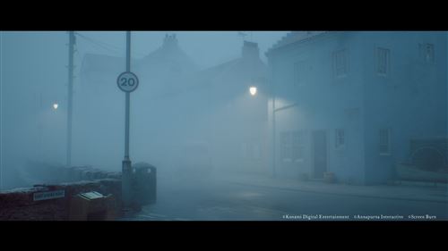 SH TOWNFALL - P5